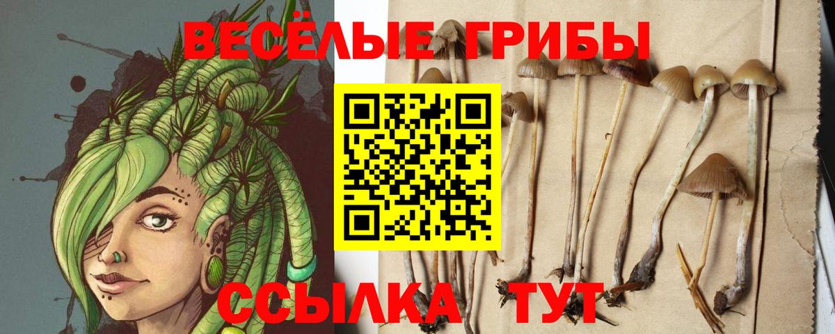 Галлюциногенные грибы прущие грибы  Вход с VPN  Усинск 